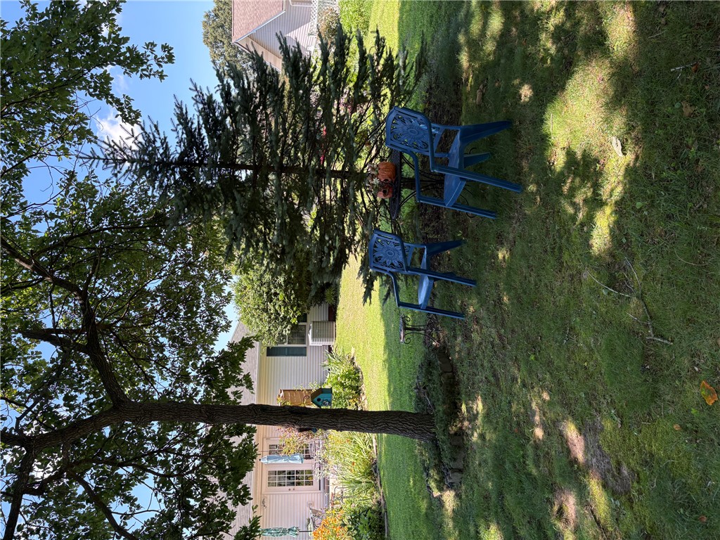 Image 25