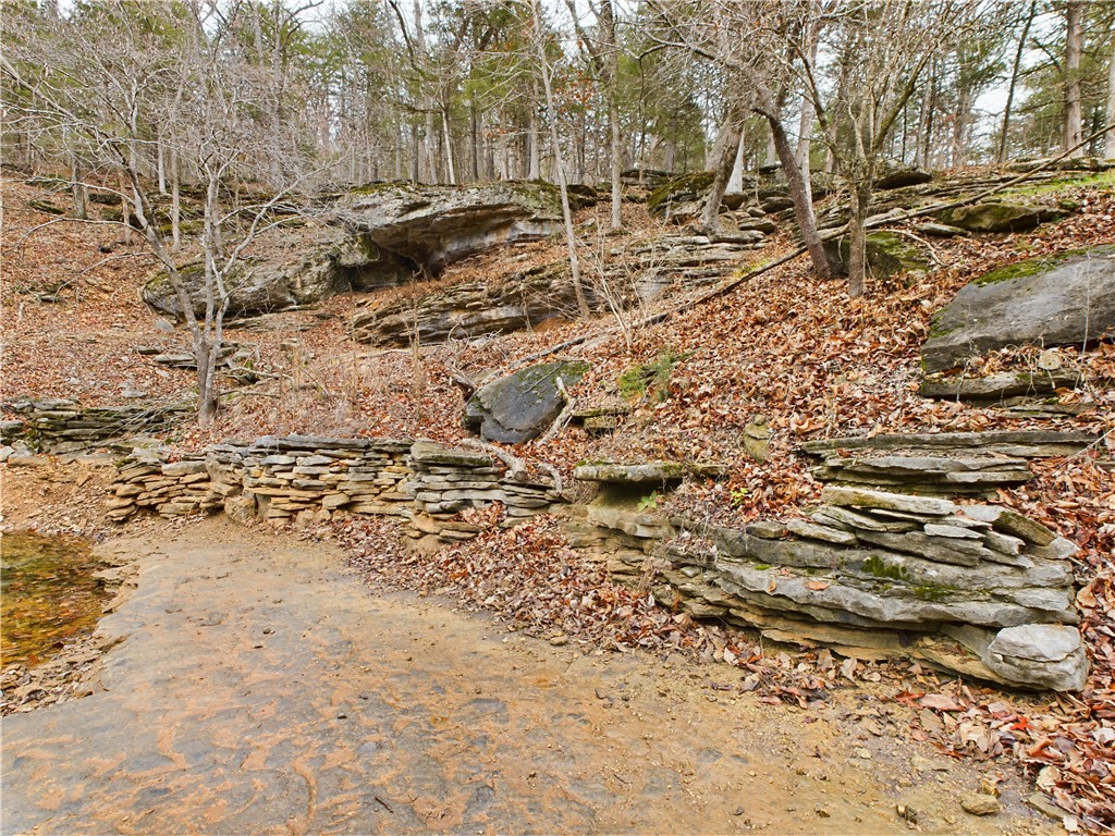 Image 42