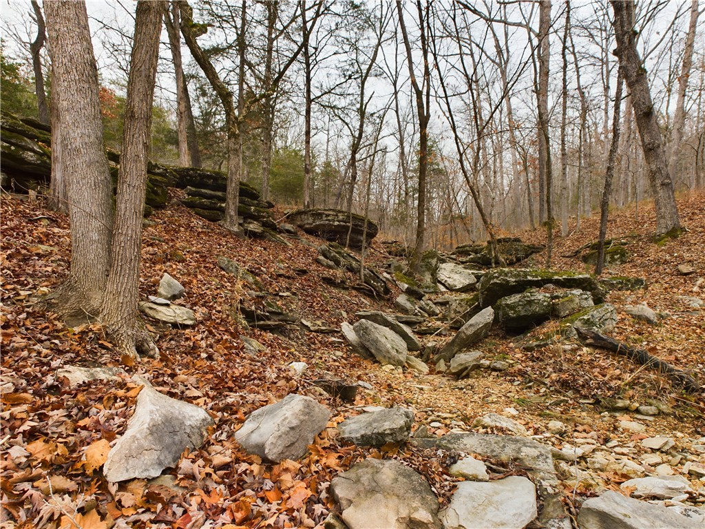 Image 45