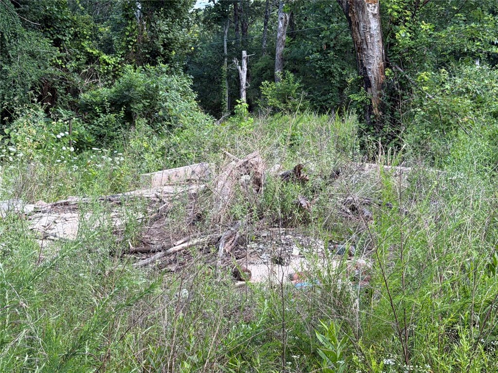 Image 10