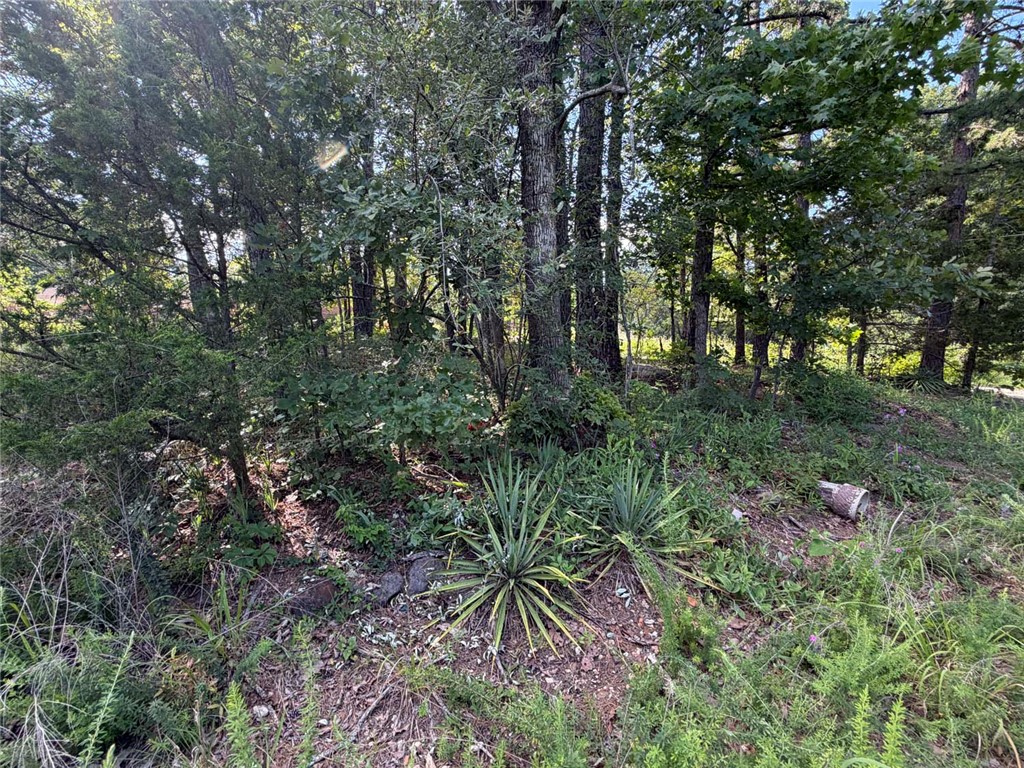 Image 13