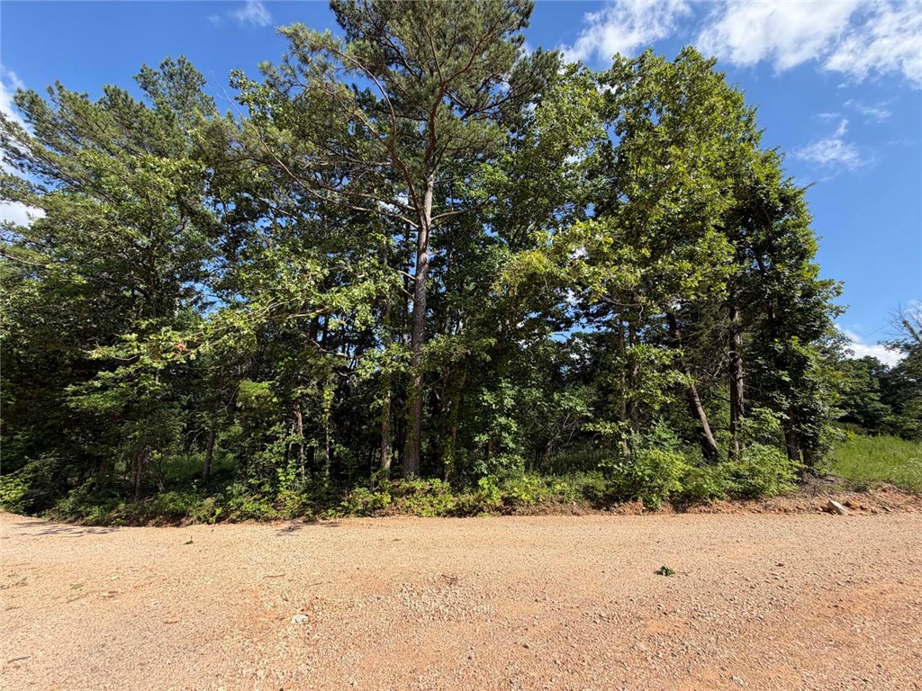 Image 15