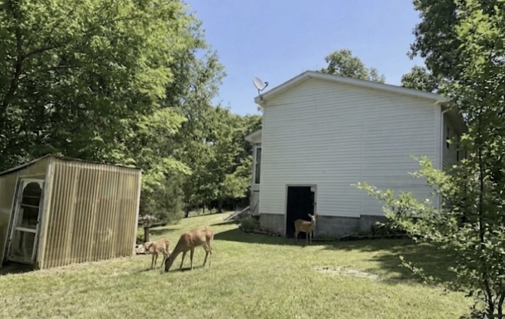 Image 12