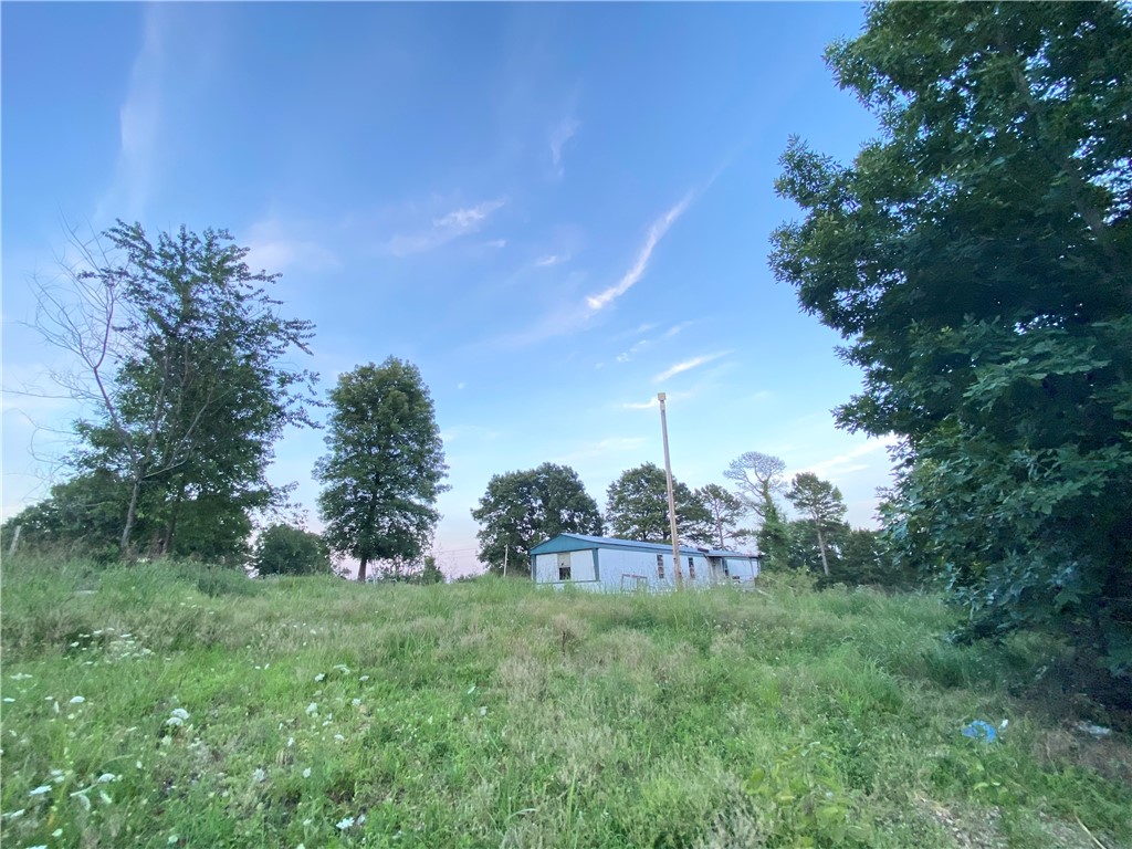 Image 10