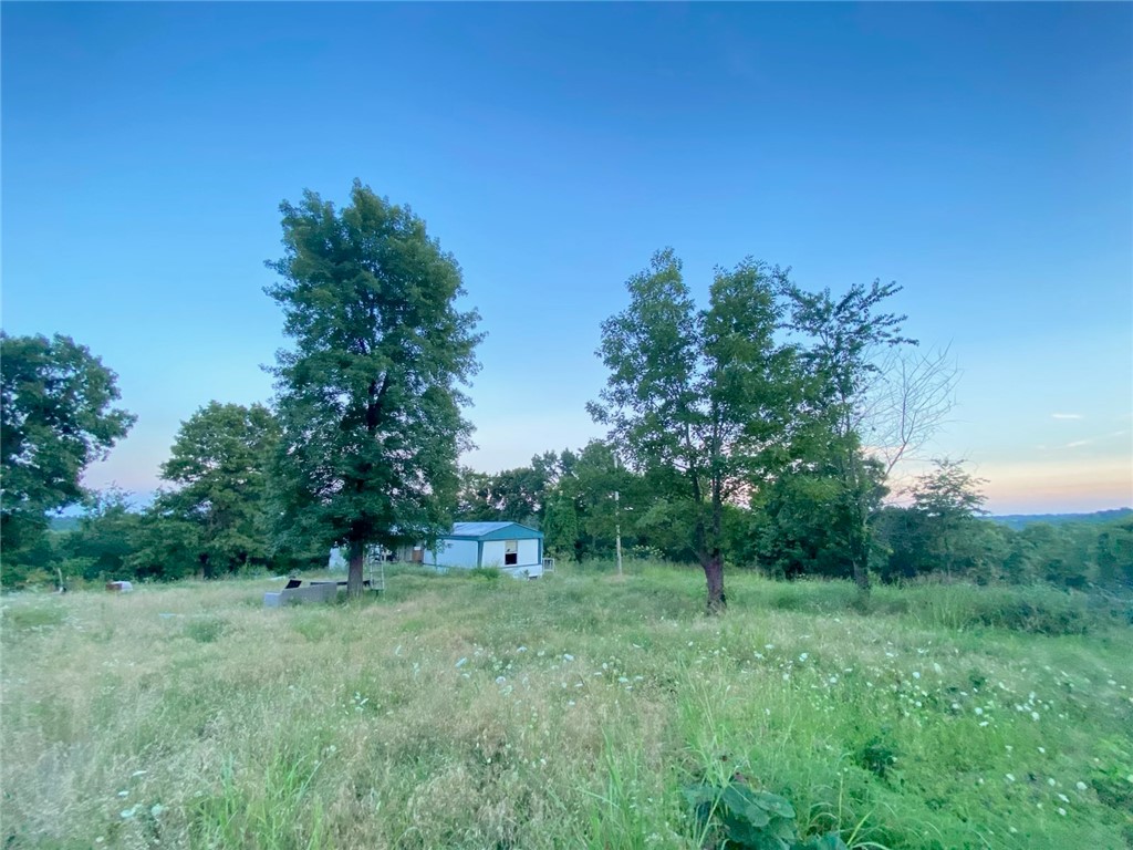 Image 12