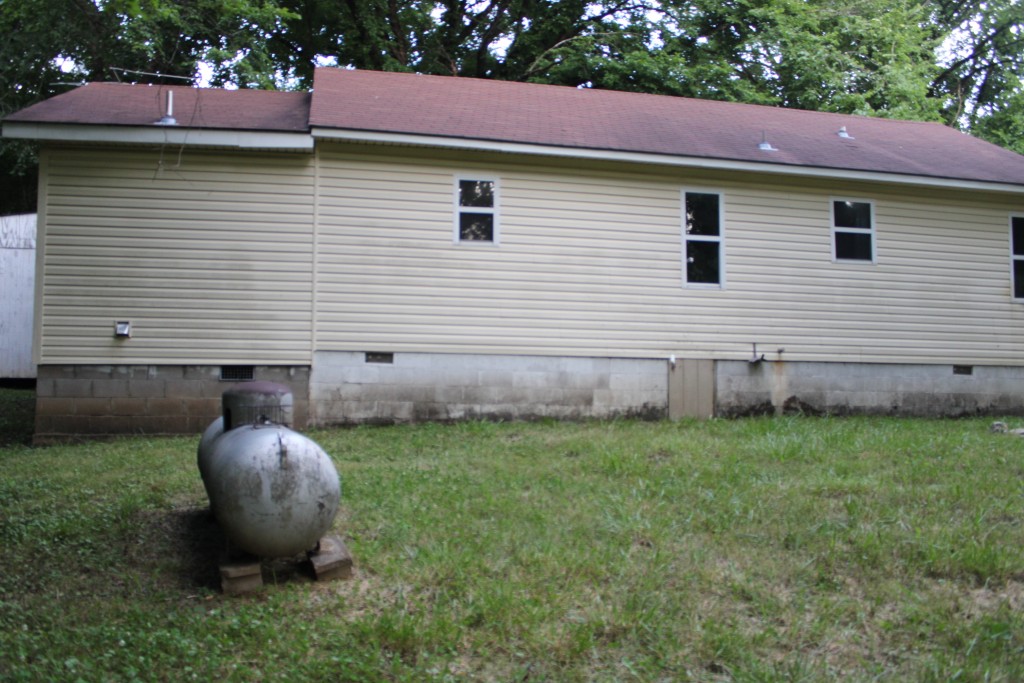 Image 17