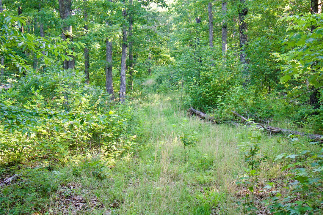 Image 49