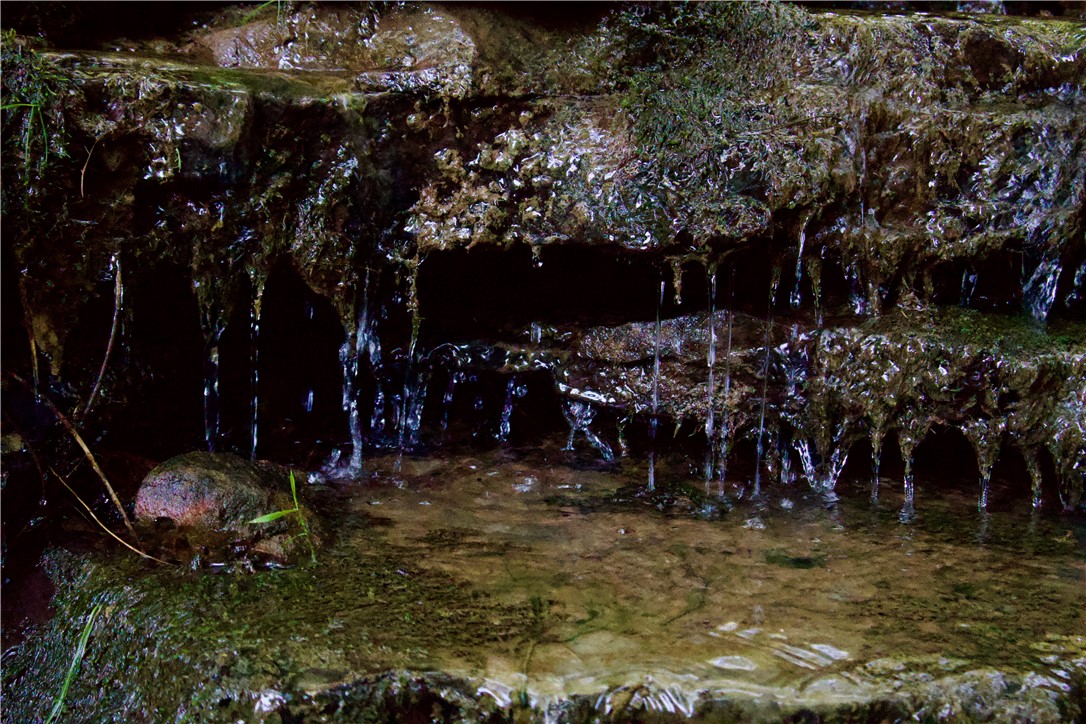 Image 51