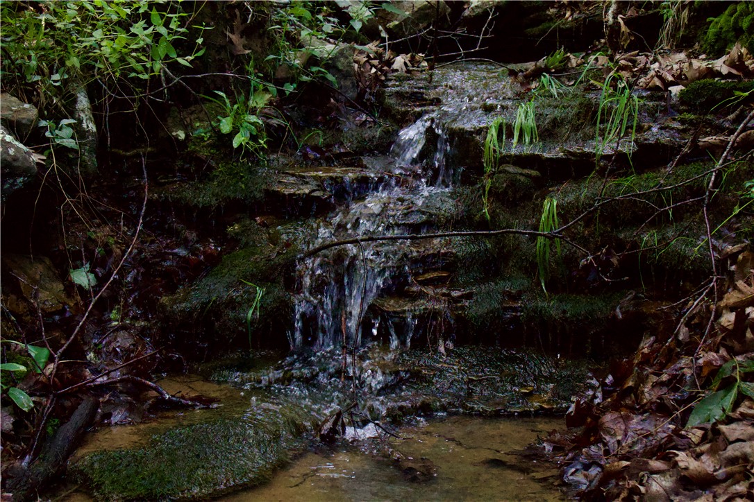 Image 52