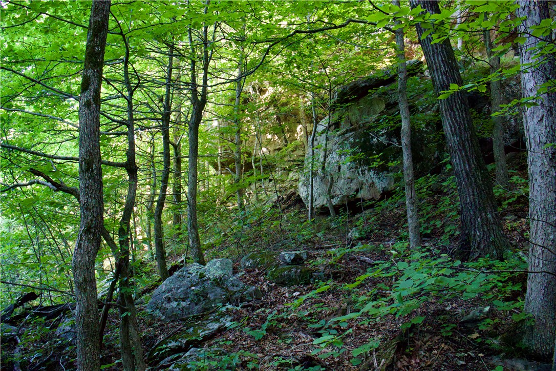 Image 56