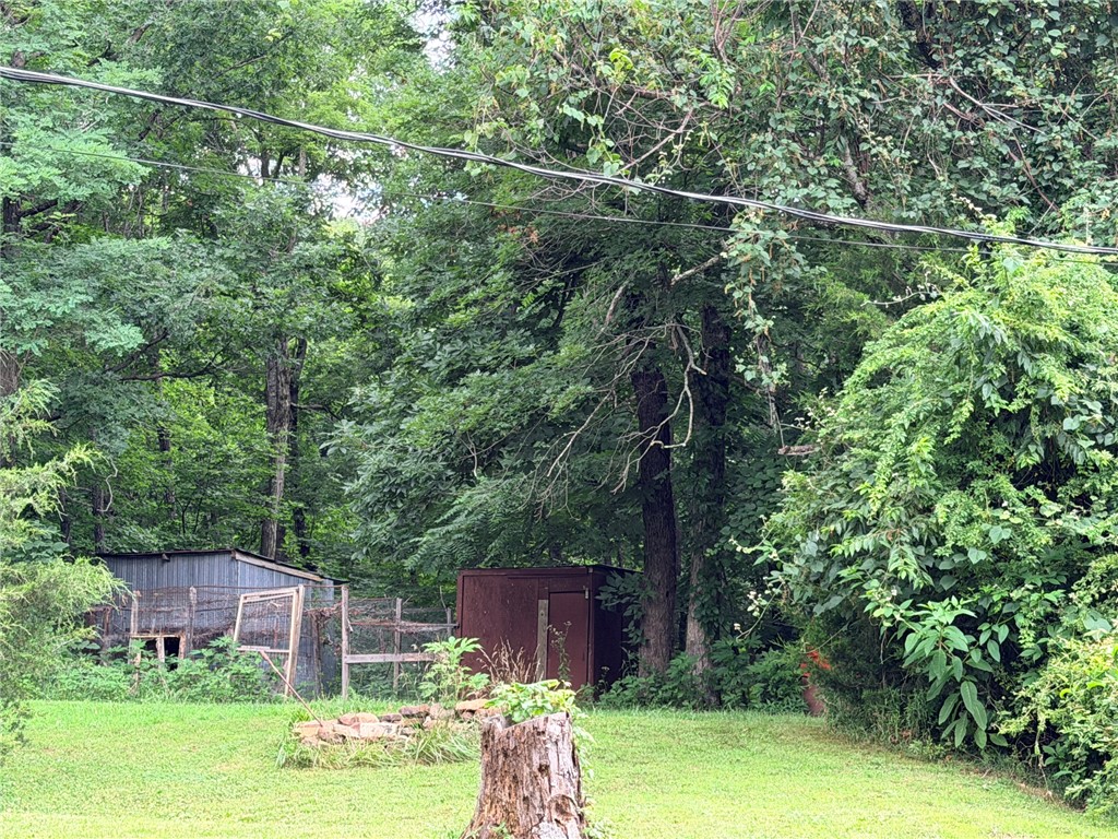 Image 19