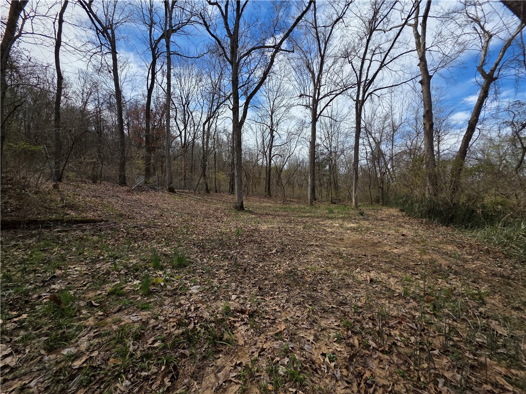 Image 13