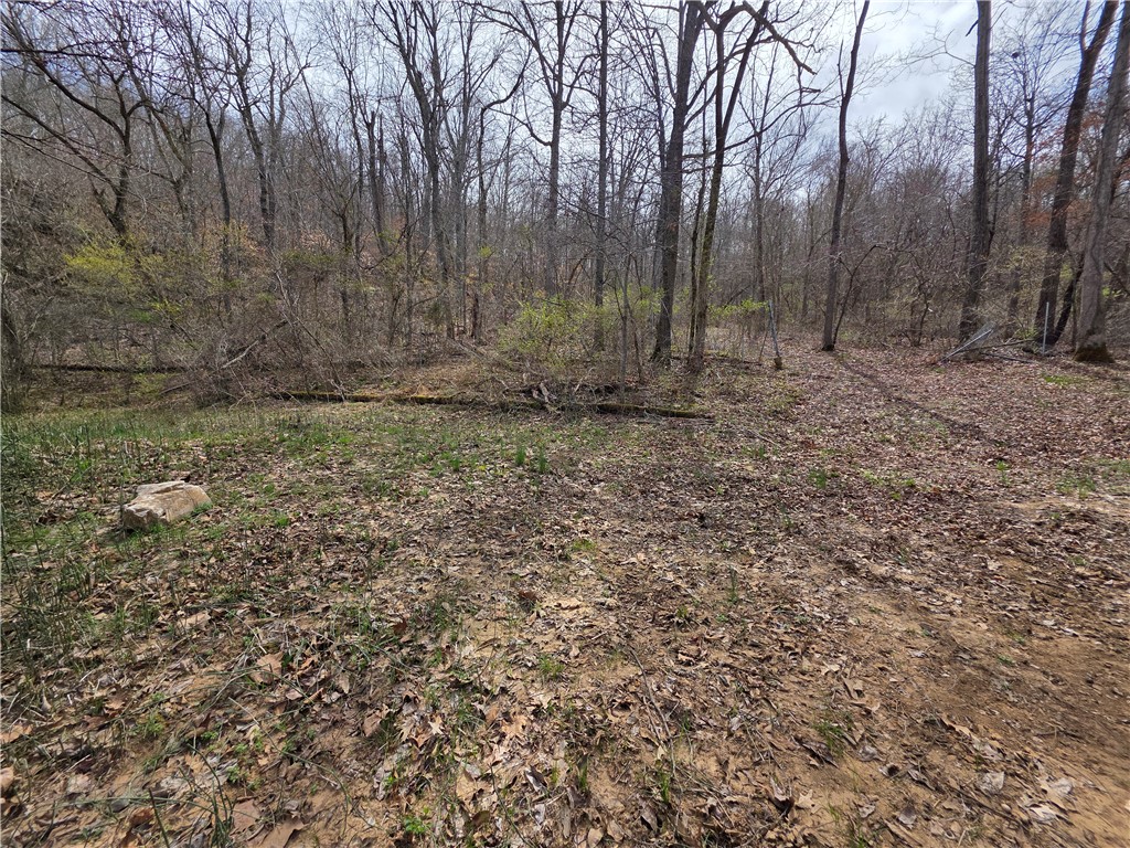 Image 15
