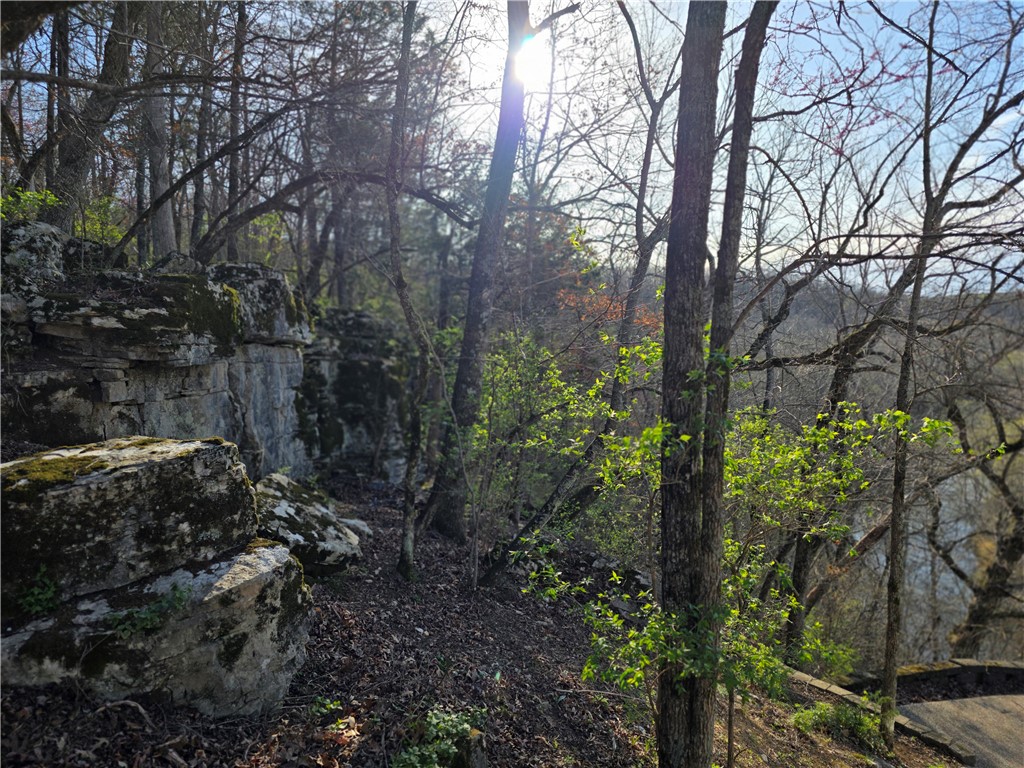 Image 18
