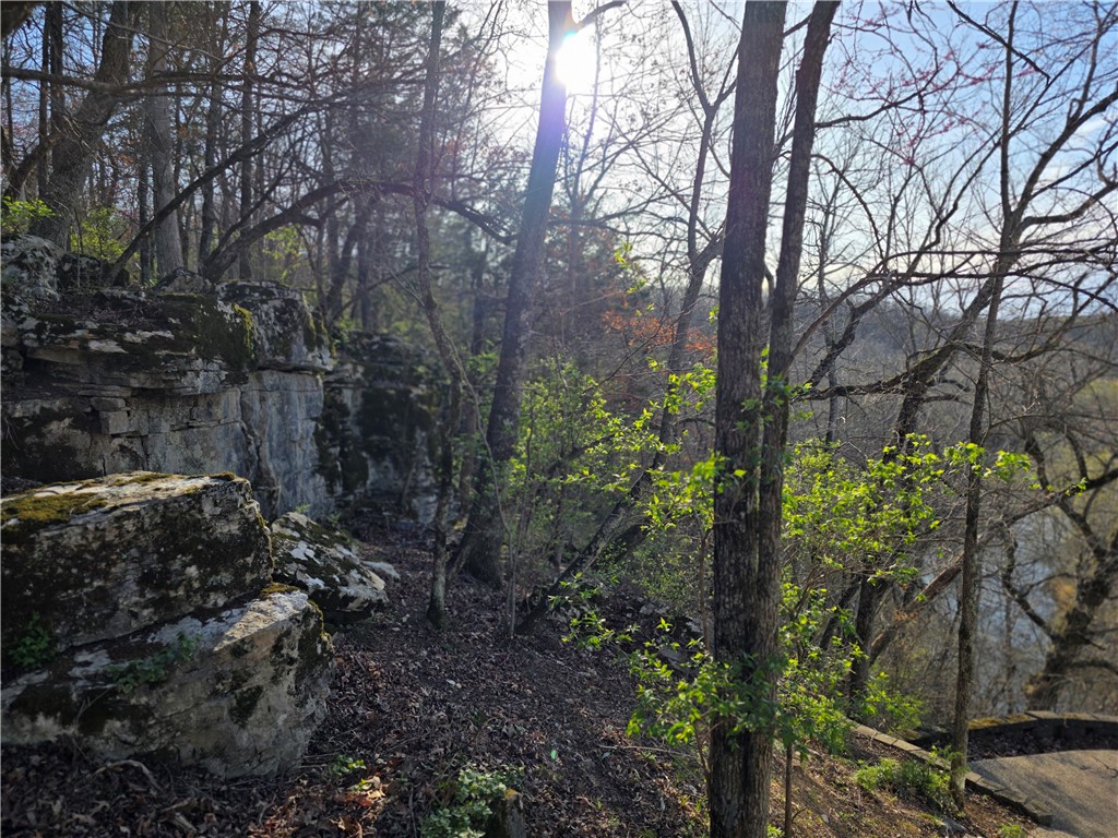 Image 19
