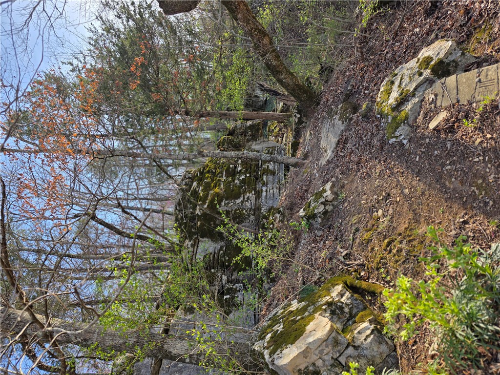 Image 20