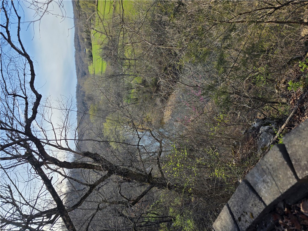 Image 21