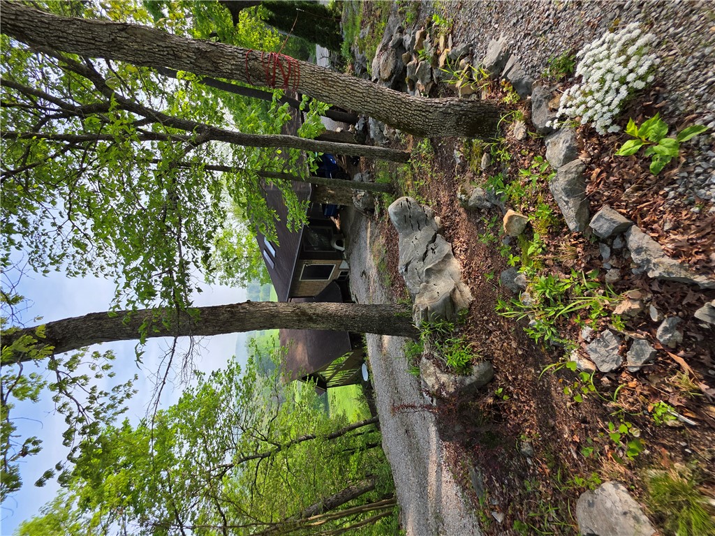 Image 49