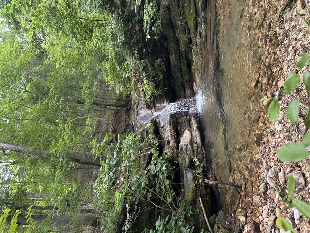 Image 21