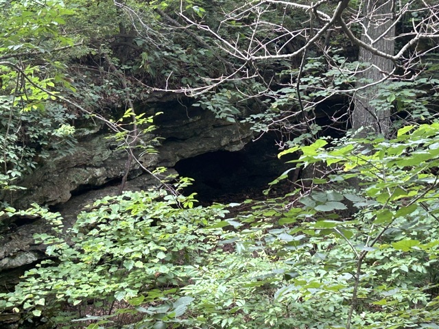 Image 22