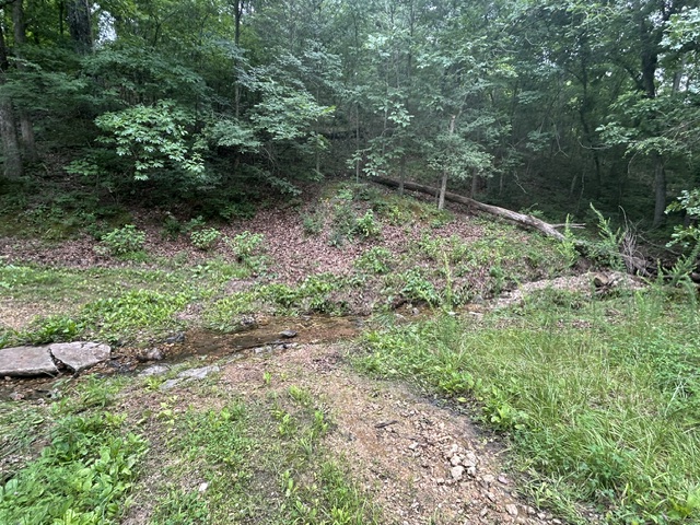 Image 23