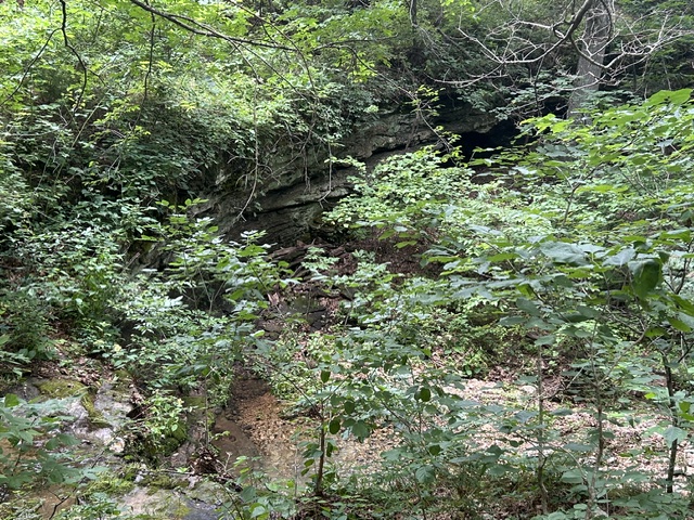 Image 26