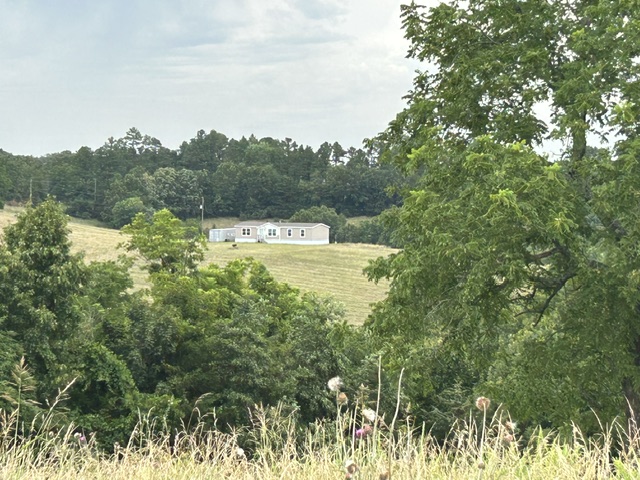 Image 34
