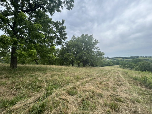 Image 35