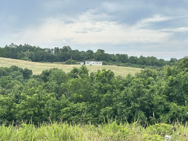 Image 36