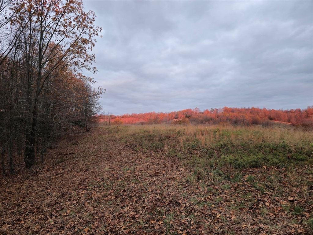 Image 37