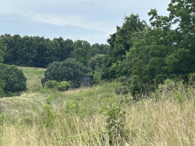 Image 40