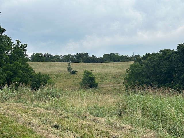 Image 41