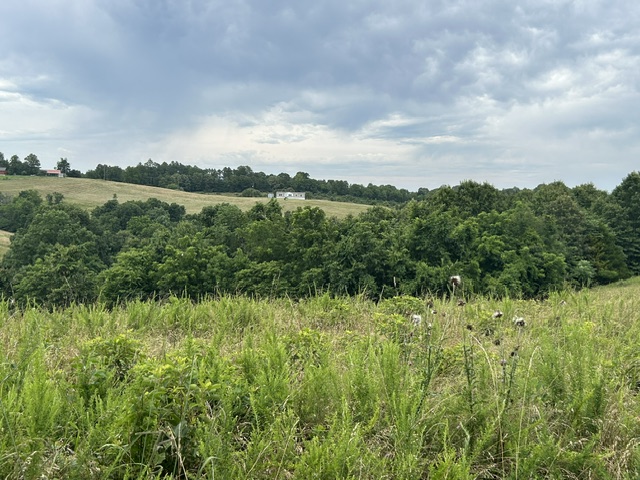 Image 42