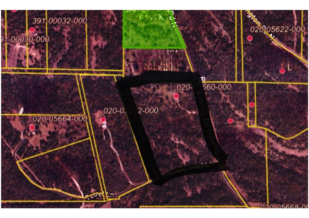 Image 10