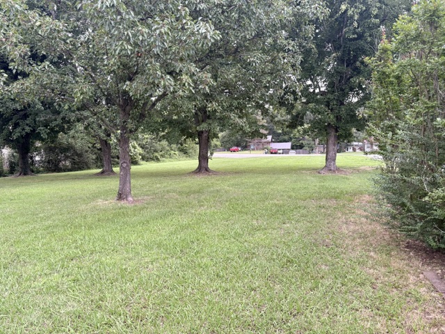 Image 15