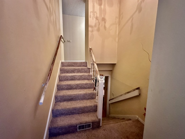 Image 14