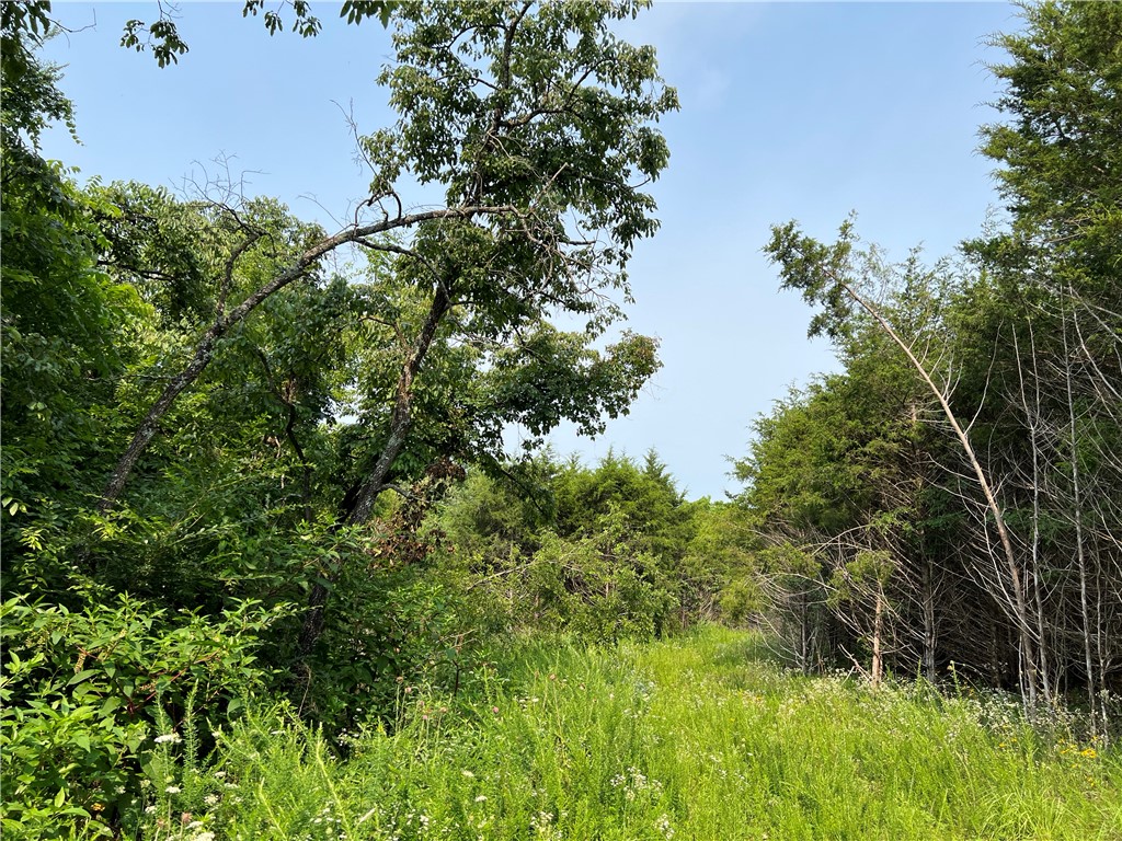 Image 11