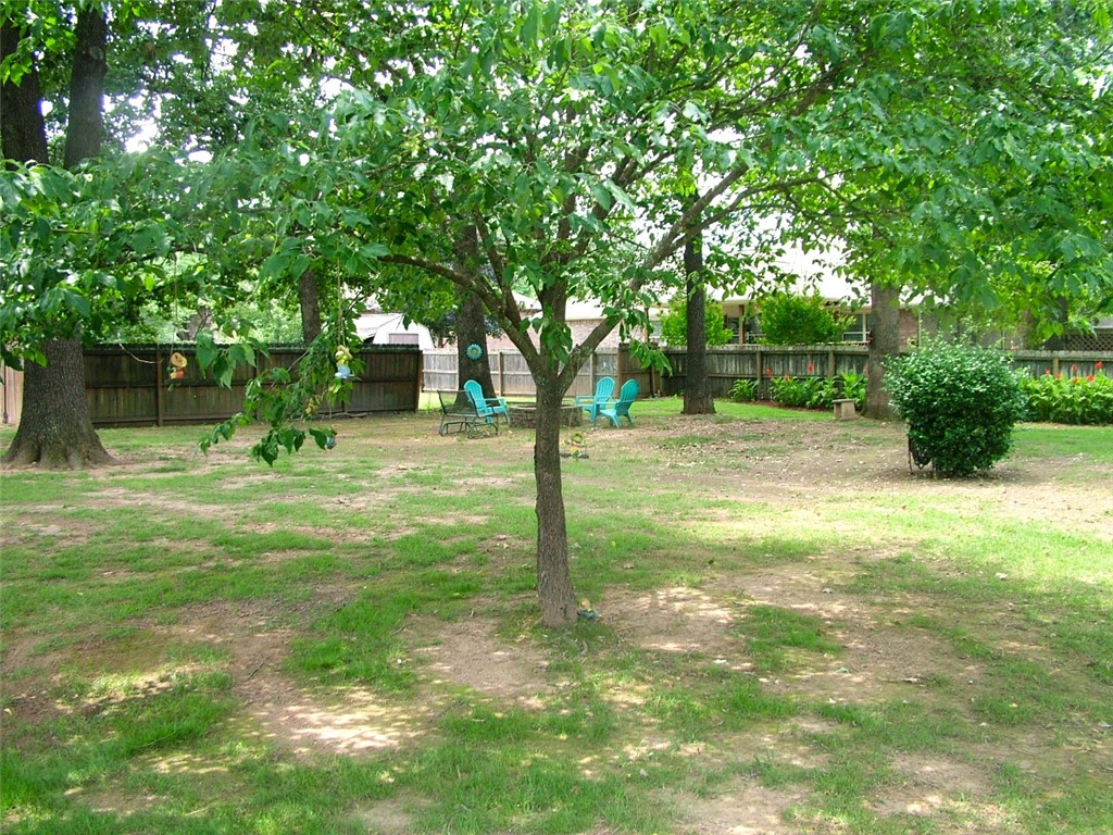 Image 19