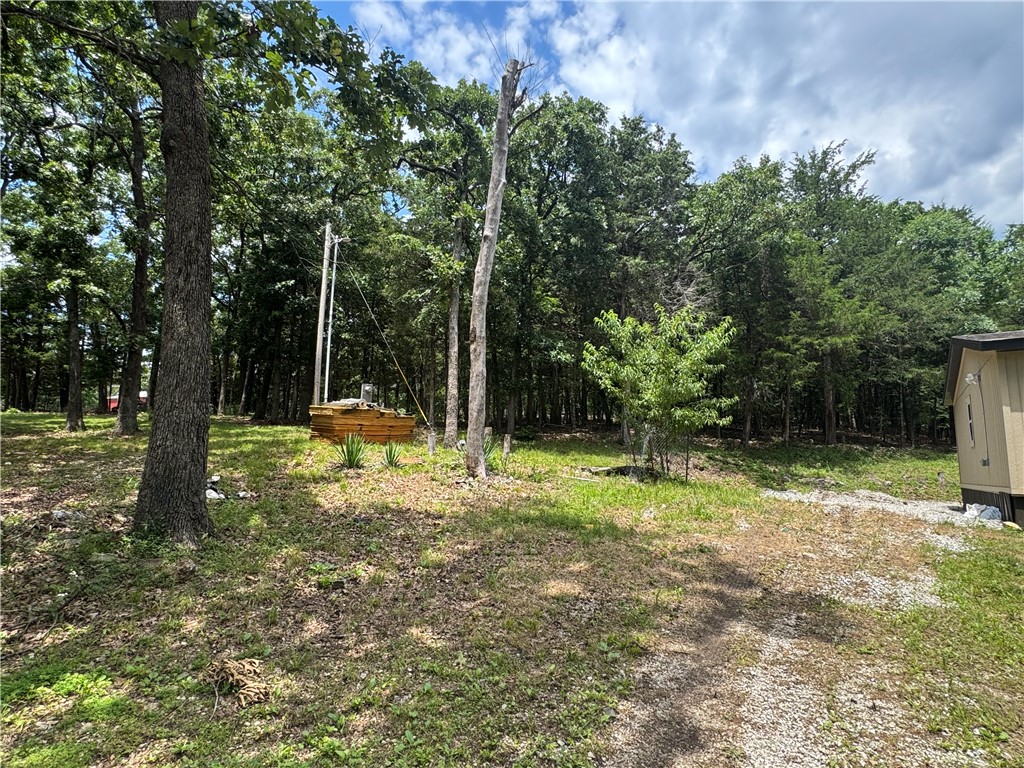 Image 25