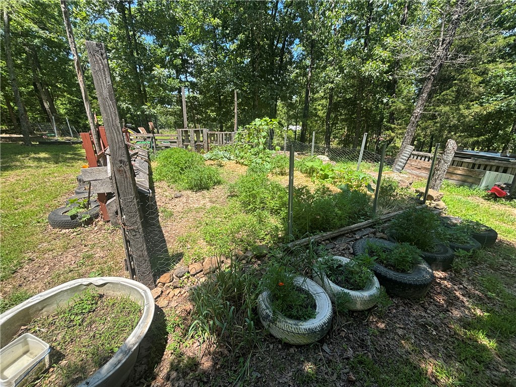 Image 41