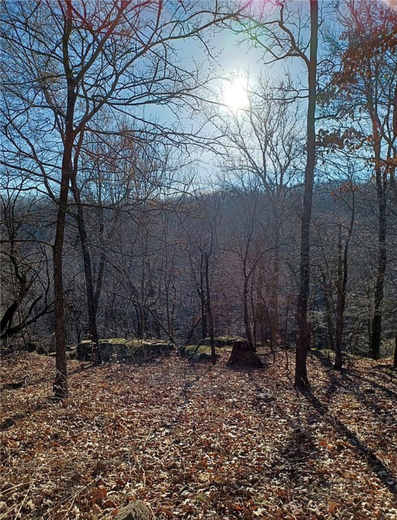 Image 9
