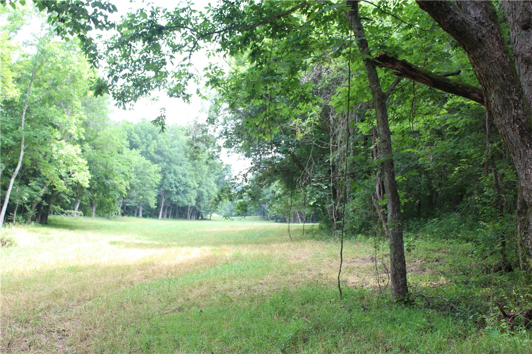 Image 24