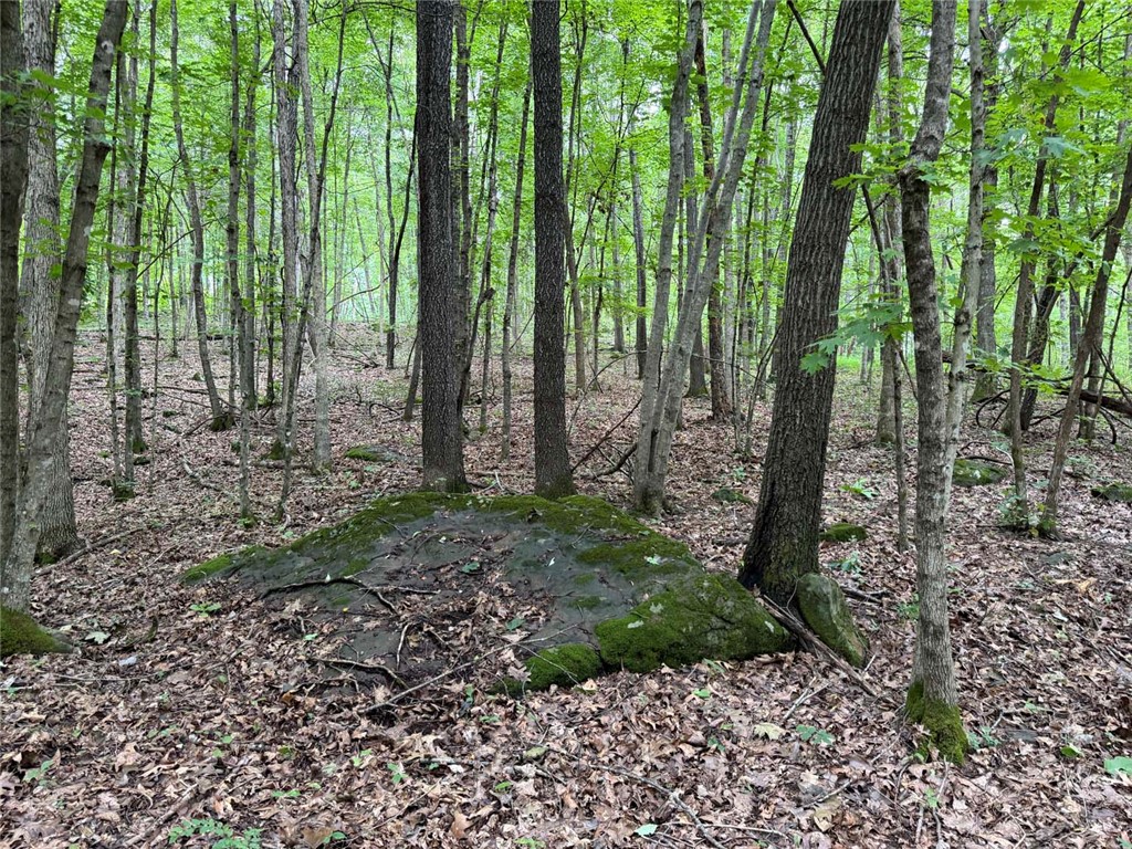Image 10