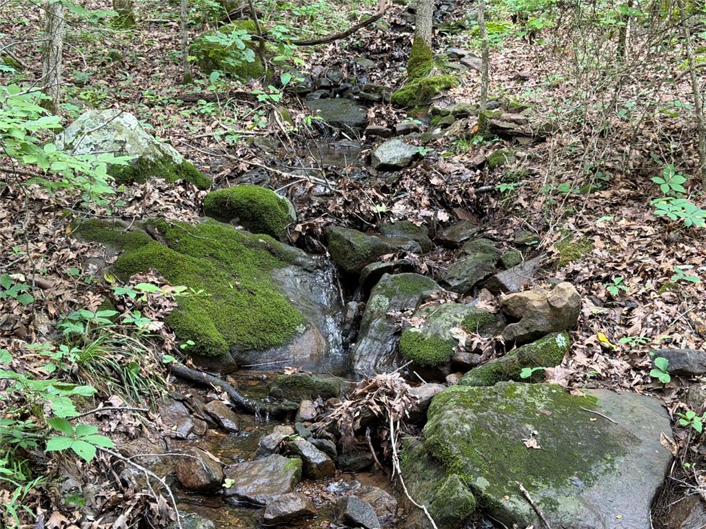 Image 13