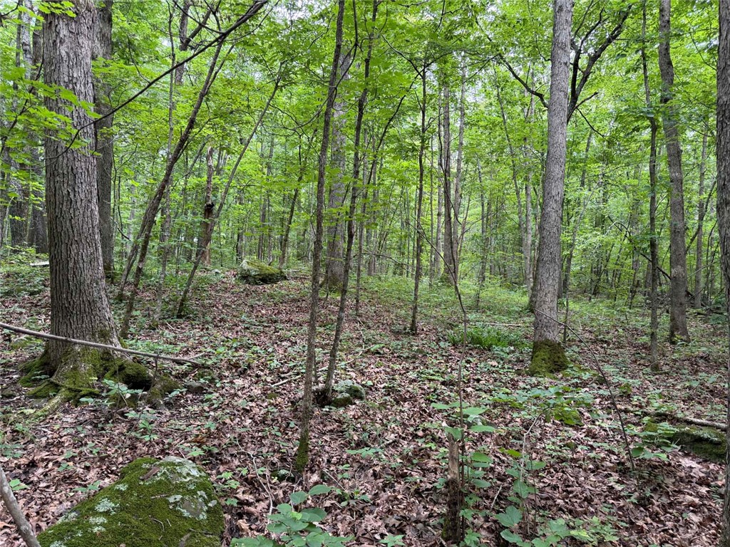 Image 14