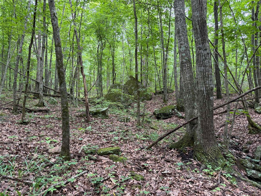 Image 15