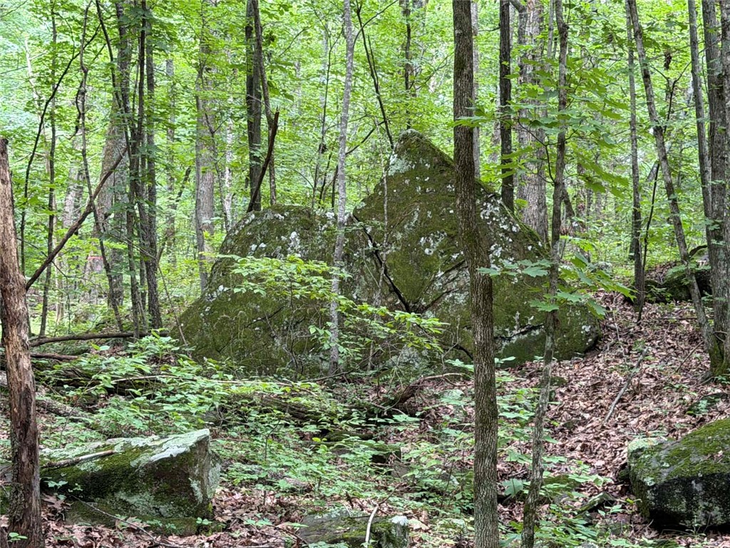 Image 16