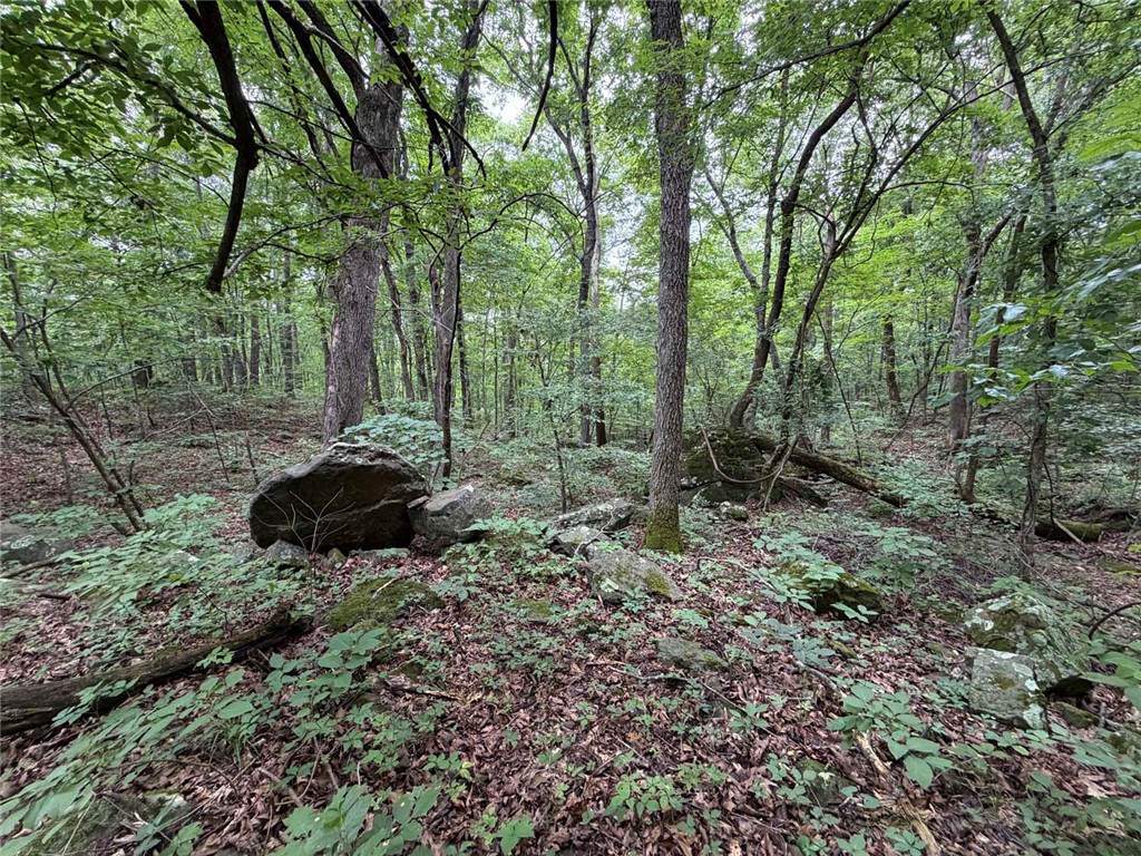 Image 18