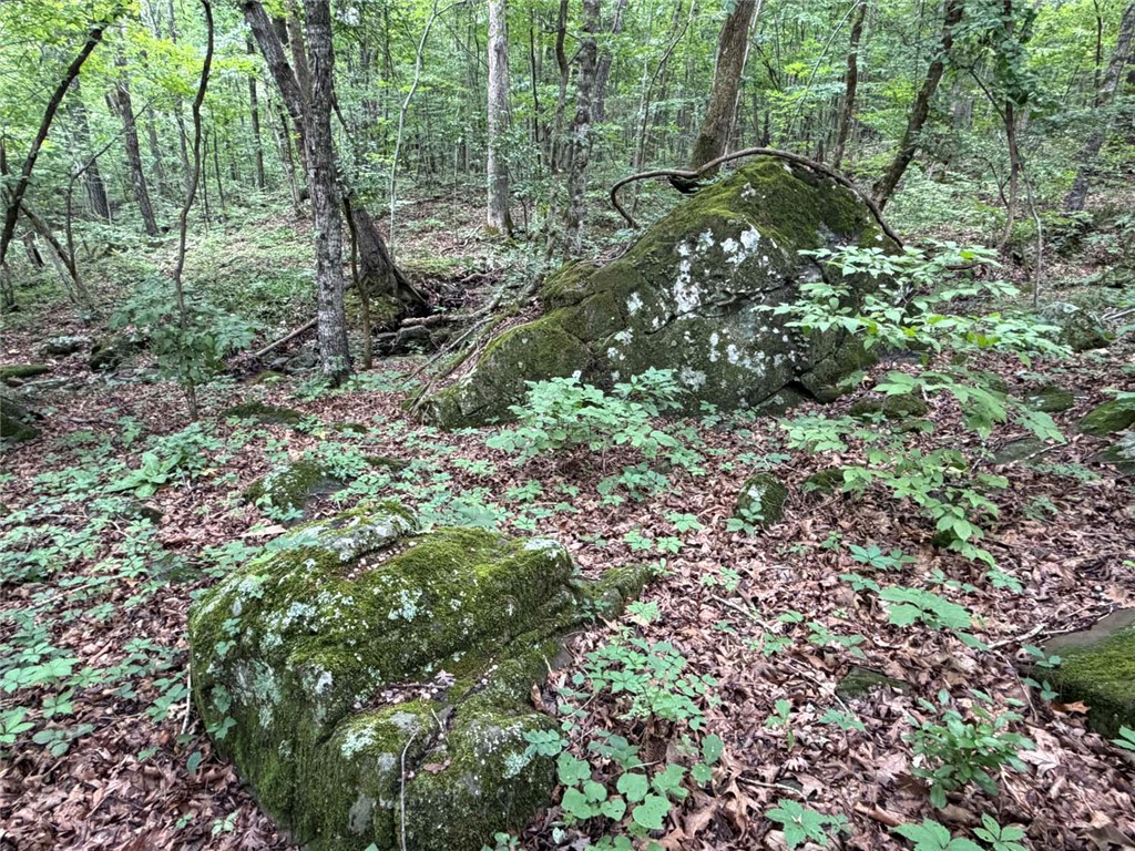 Image 19