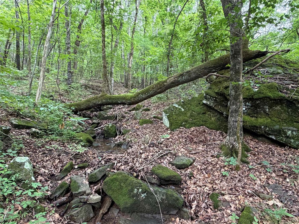 Image 21